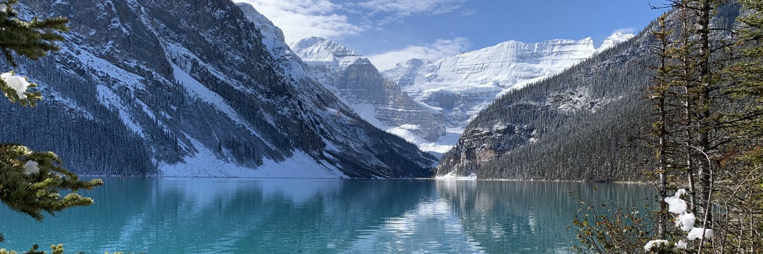 Dr. Larena Hoeber banner