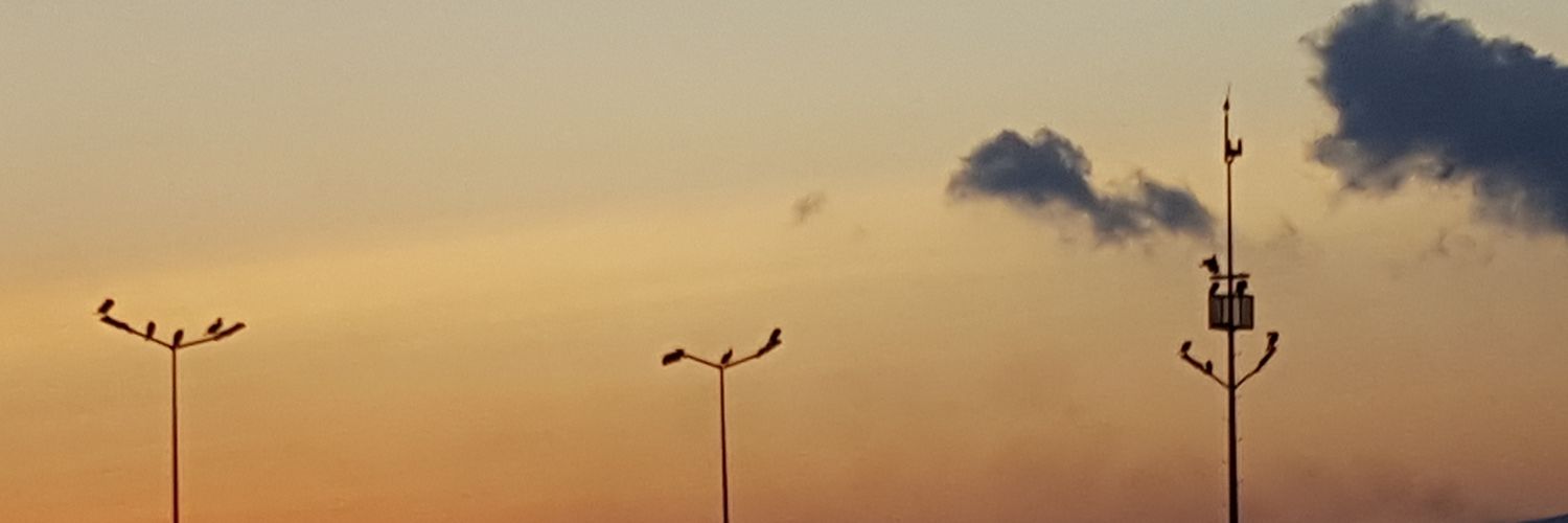 hislilimon's profile banner image