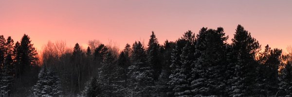 _tylerwatkins Profile Banner