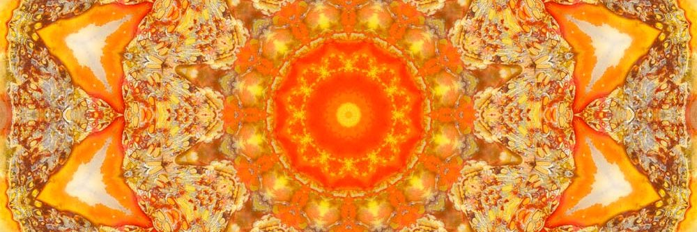 YogiJoaquin's profile banner image