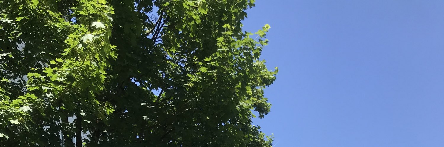 Mjahid Zebari banner