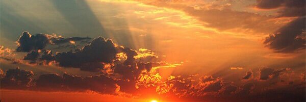 darcie_mead's profile banner image