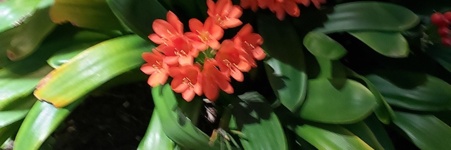 rcantz1964's profile banner image