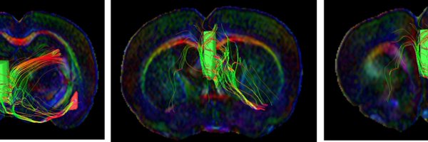 fig_neurolab Profile Banner