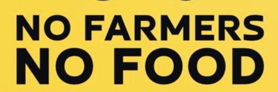 David Son of Ulster #NeverStayAtHomeAgain banner