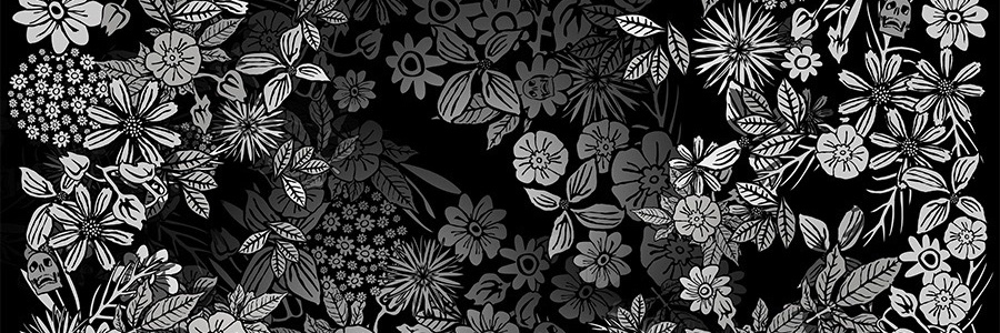 BFAHub's profile banner image