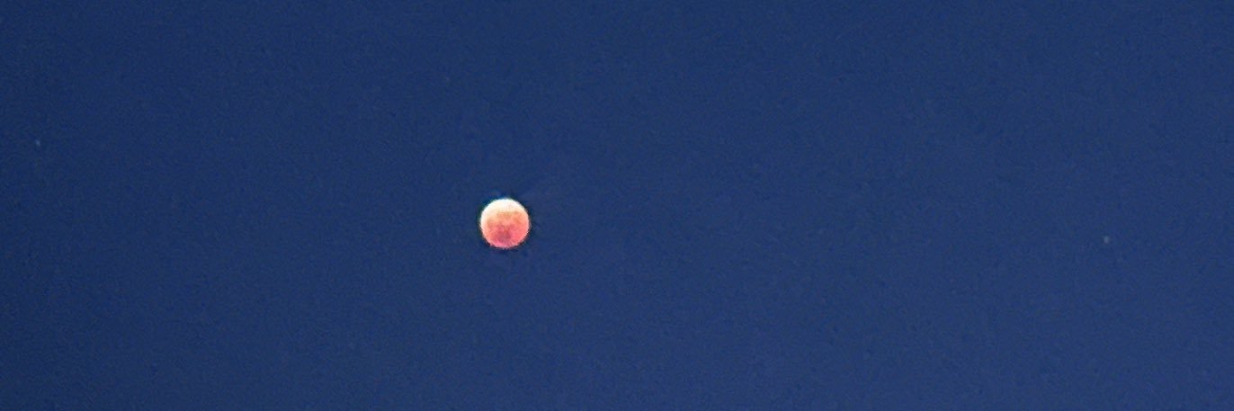 Rose965Sn's profile banner image
