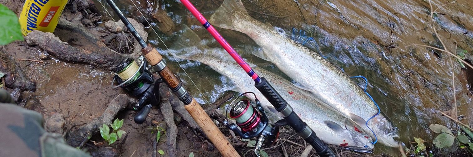 probass9's profile banner image