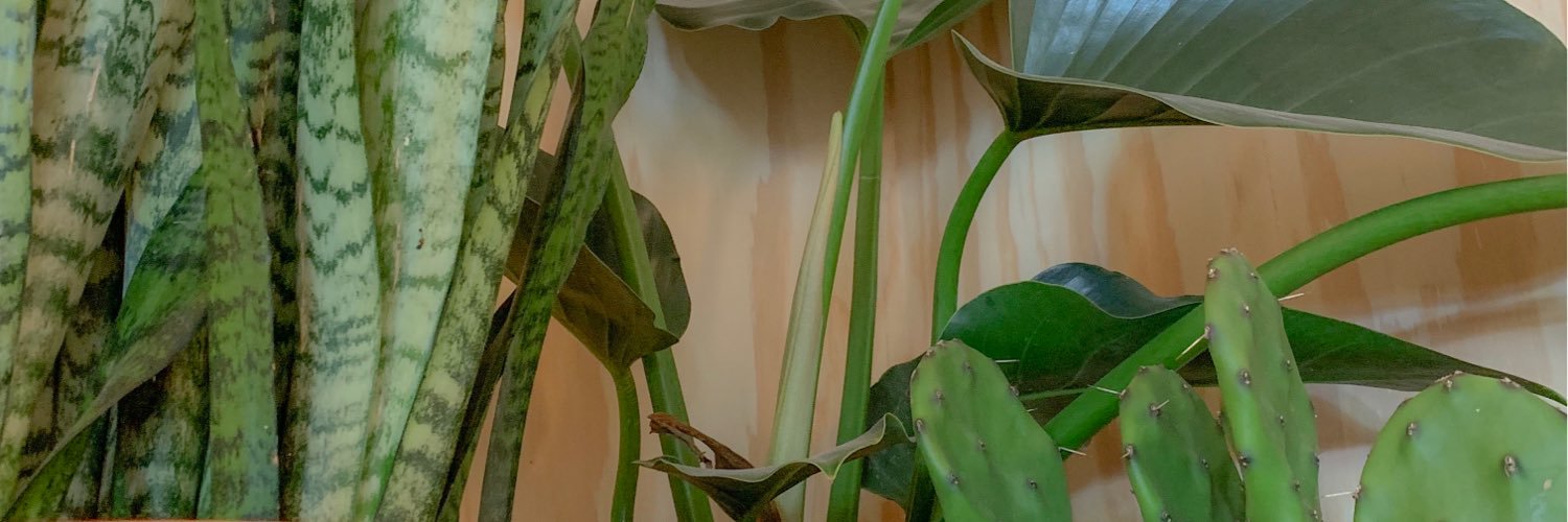 lexipitt's profile banner image