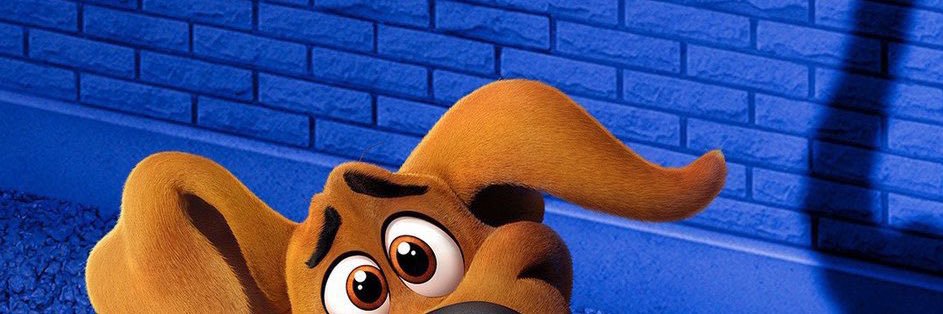 BrandNewTed's profile banner image
