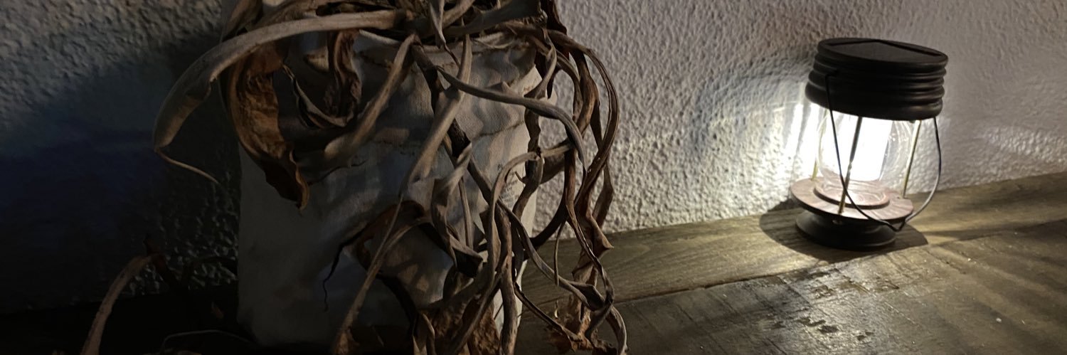 722_misaki's profile banner image