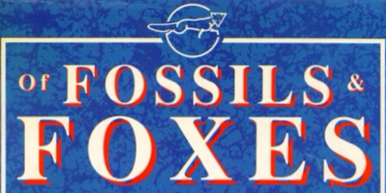 fossilsandfoxes's profile banner image