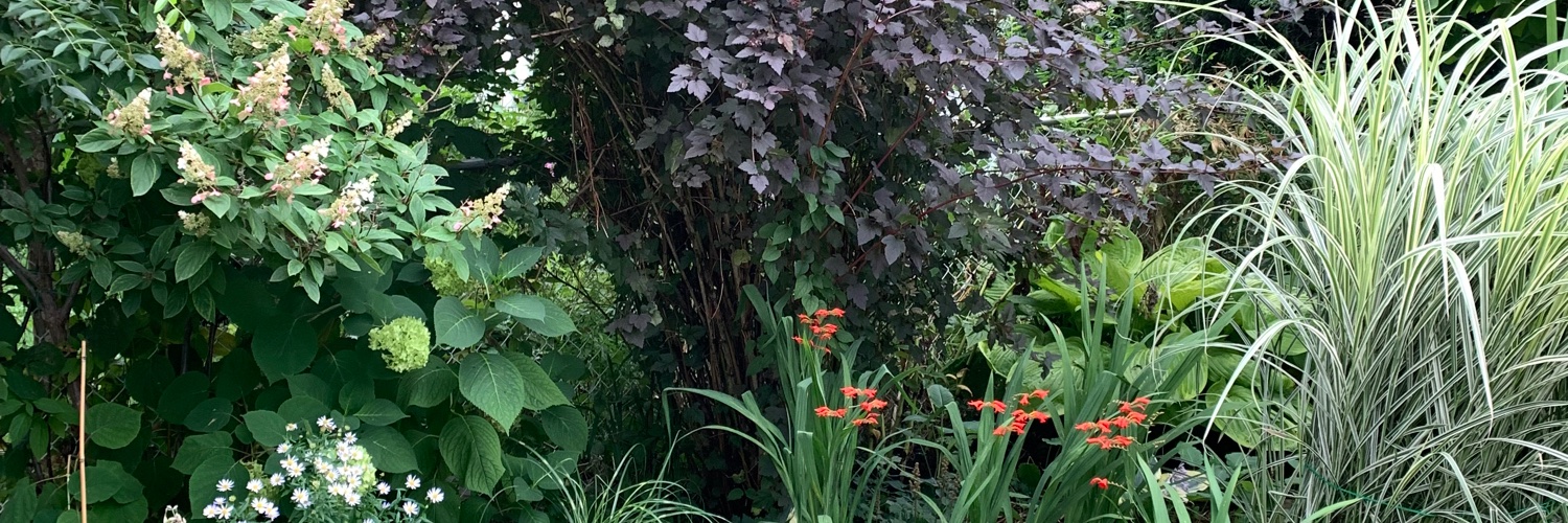 hassina kerfi banner