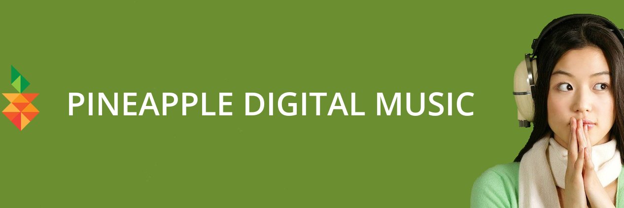 Pineapple Digital banner