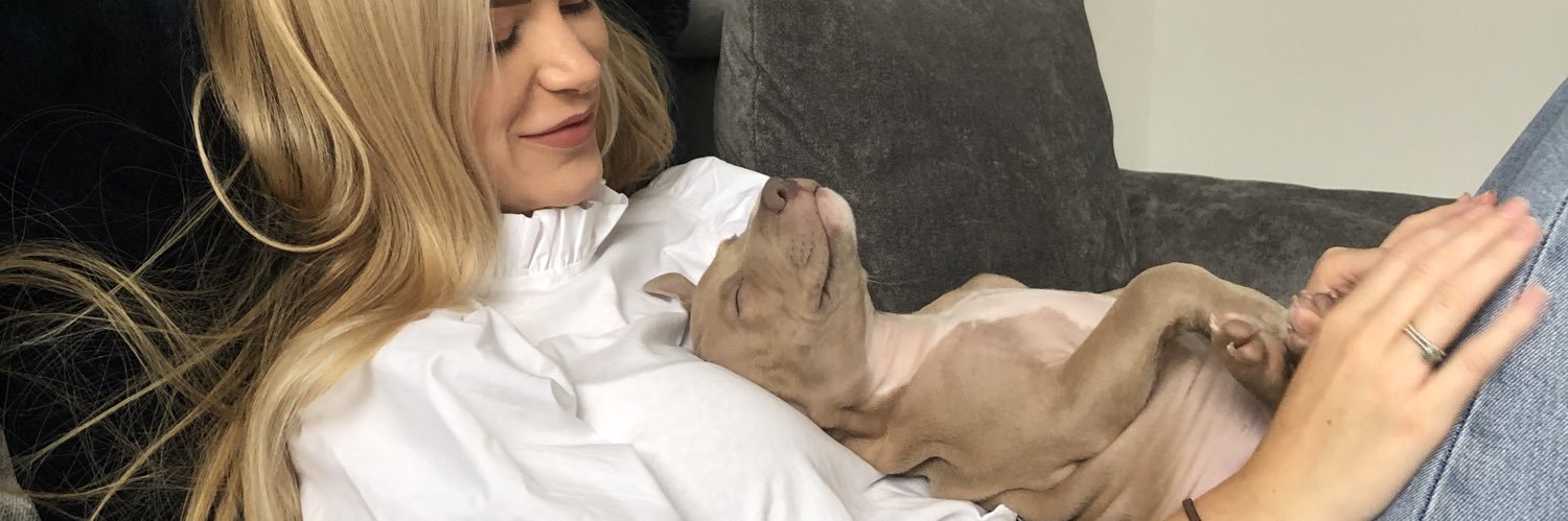 AbbeyBingham's profile banner image