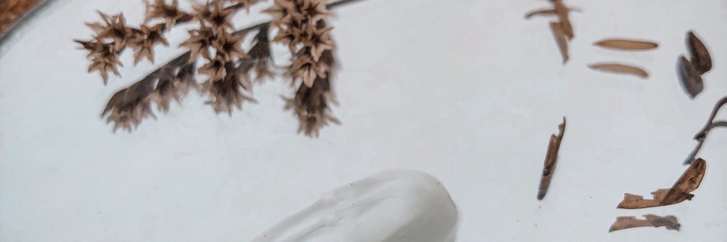 kitteniesh's profile banner image