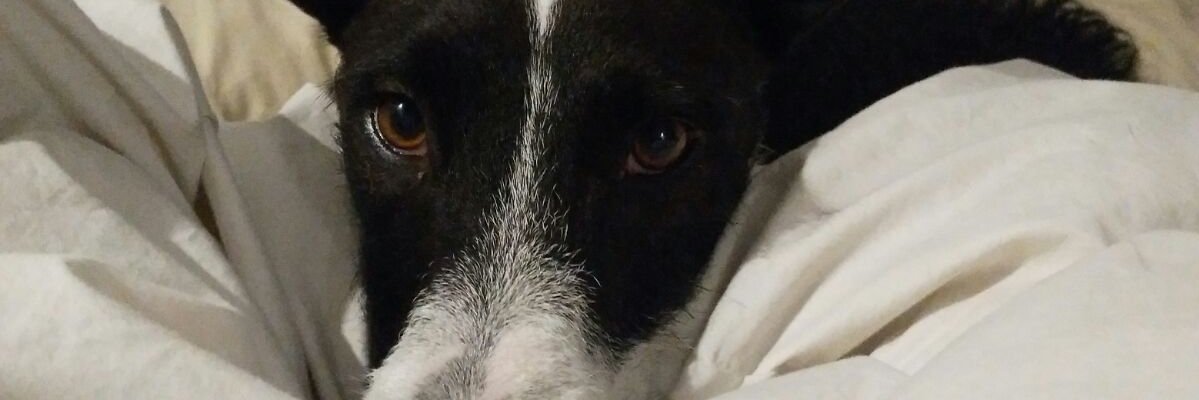 earrietagal's profile banner image
