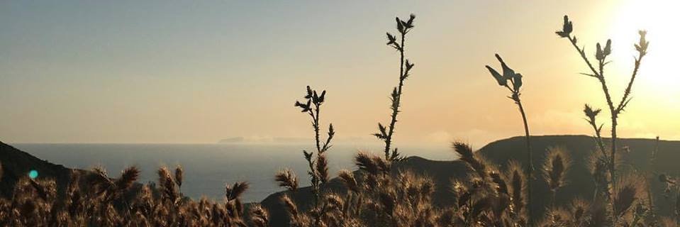 ThankfulBabs's profile banner image