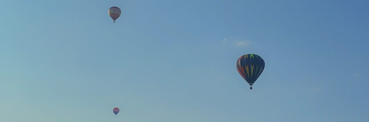 morganctimber's profile banner image