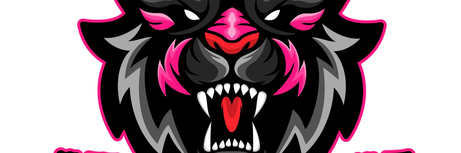 StormyRise's profile banner image