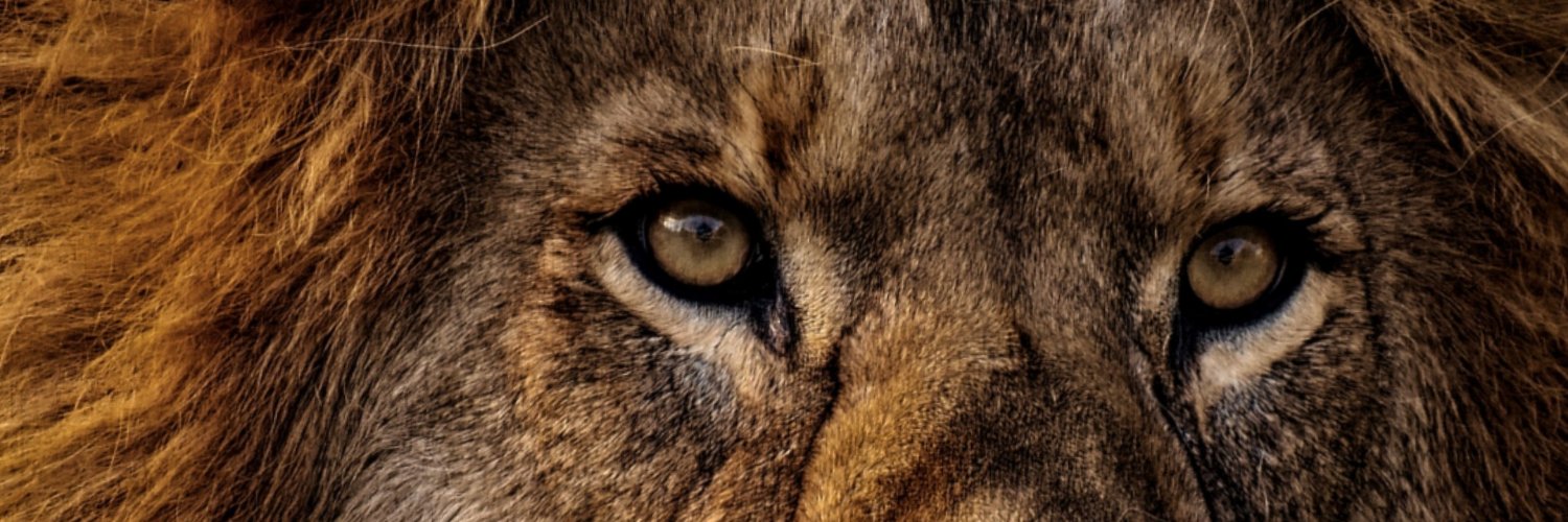 ivenrrique's profile banner image