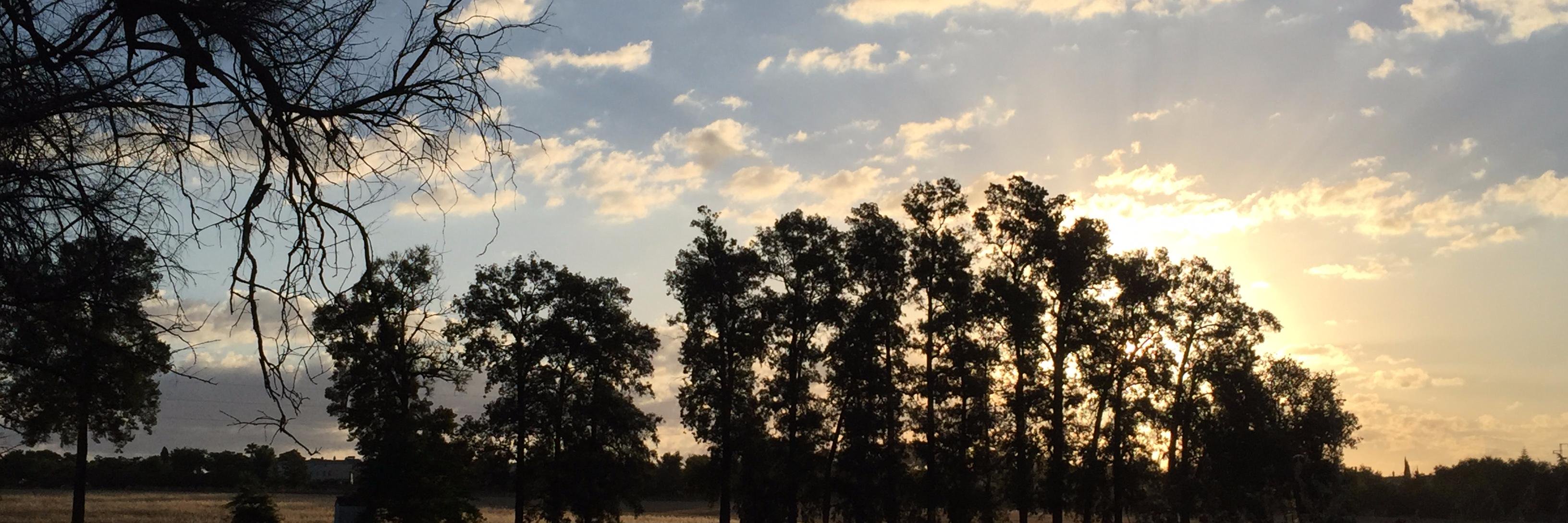 mj_acuna's profile banner image