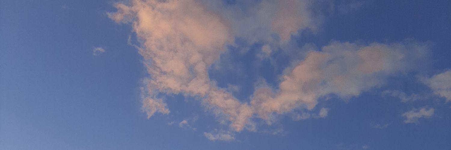 Sofía banner
