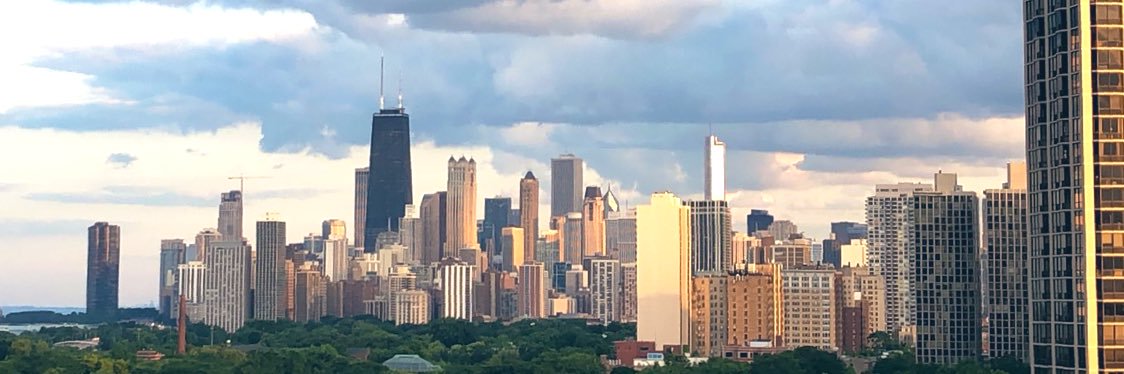 TessInChicago's profile banner image