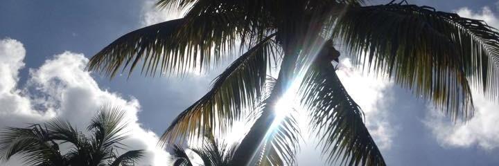 silviam1145's profile banner image