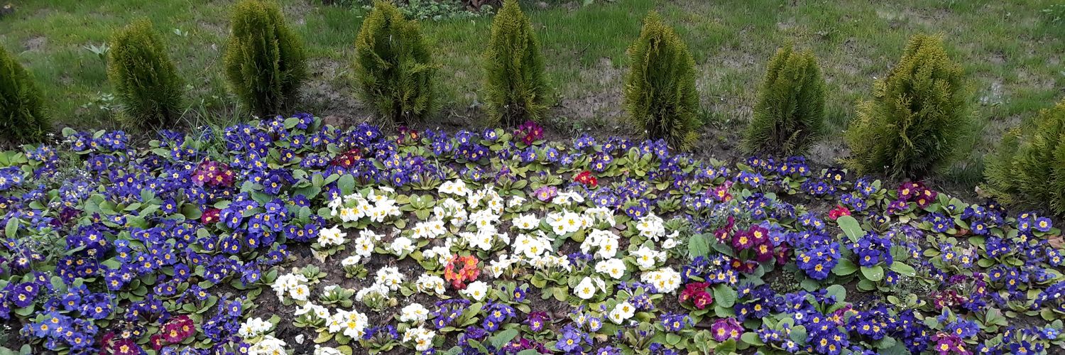 العُقاب banner