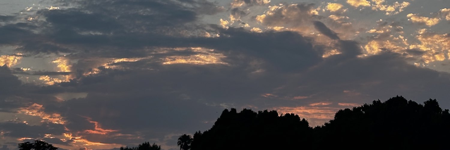 vivanliy's profile banner image