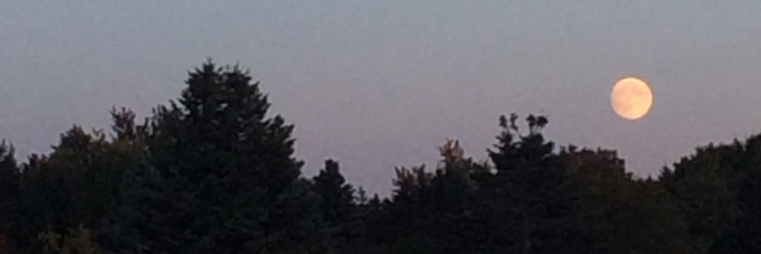 sarahhbu's profile banner image