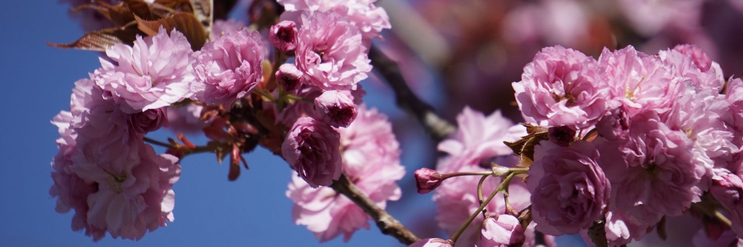 Mike 🕹👀Ⓐ banner