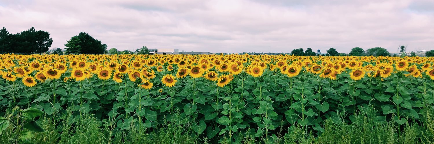 peytonfro's profile banner image
