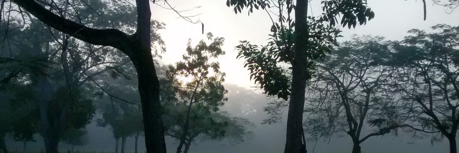 MontseBegue's profile banner image