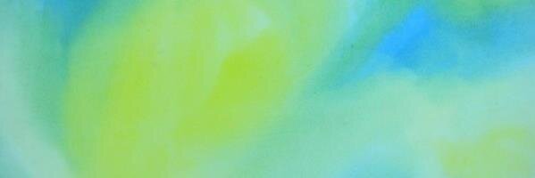 tocchi2014's profile banner image