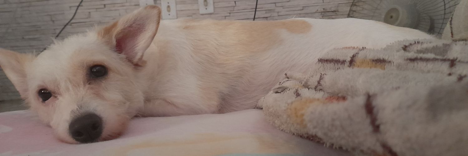 Marinhoobia's profile banner image