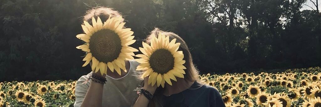 hannadayto's profile banner image