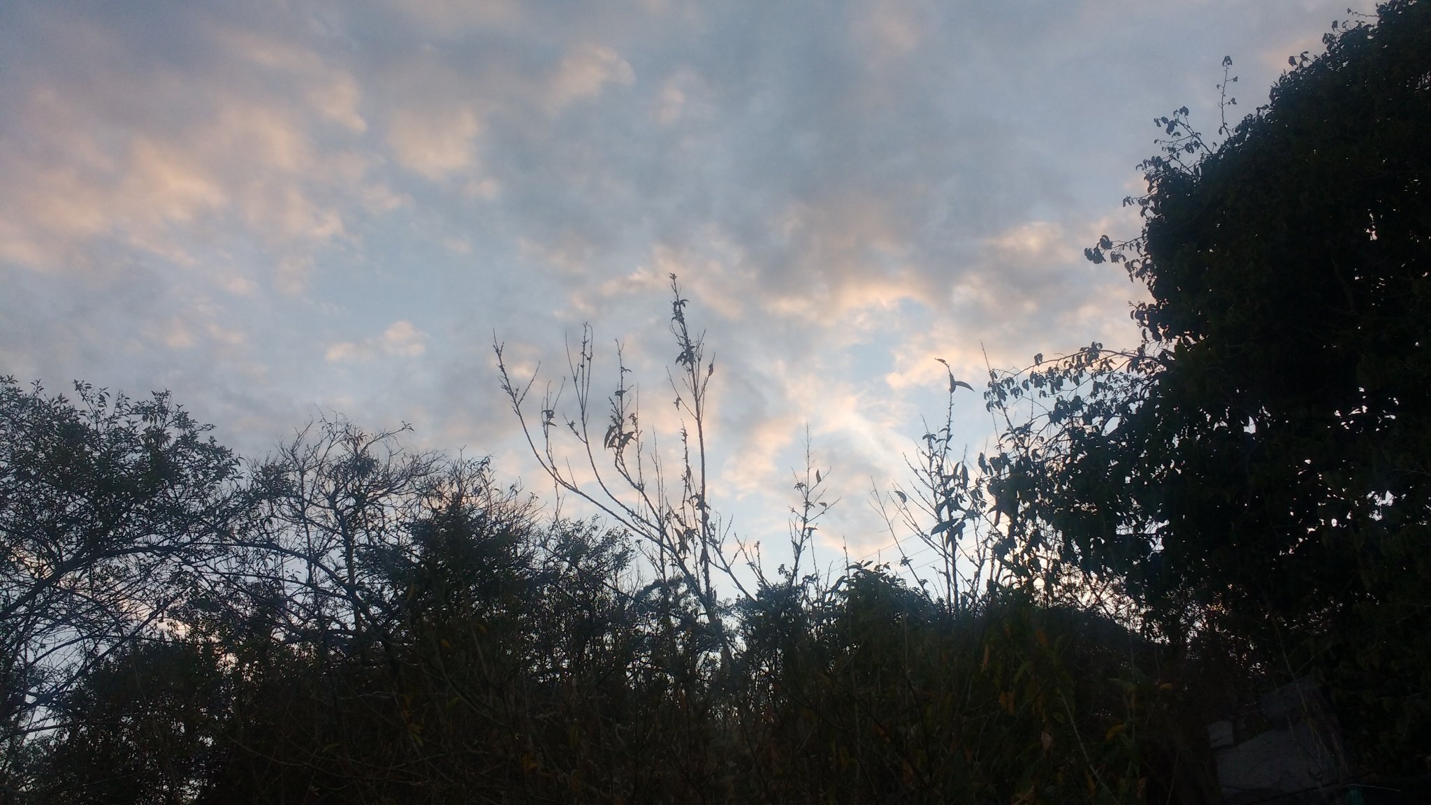 lorenar926's profile banner image