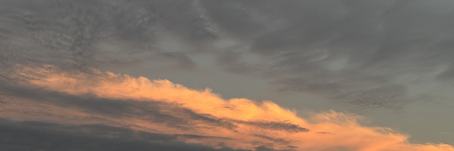 kerriber__'s profile banner image