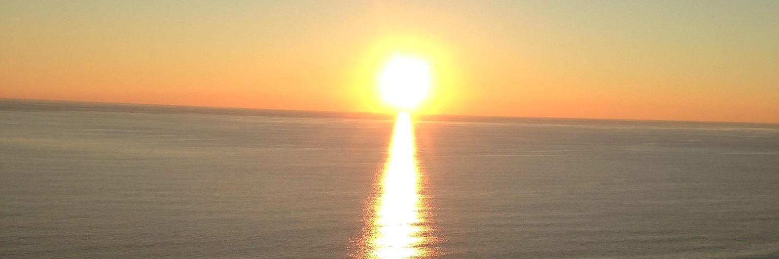 robinerank's profile banner image