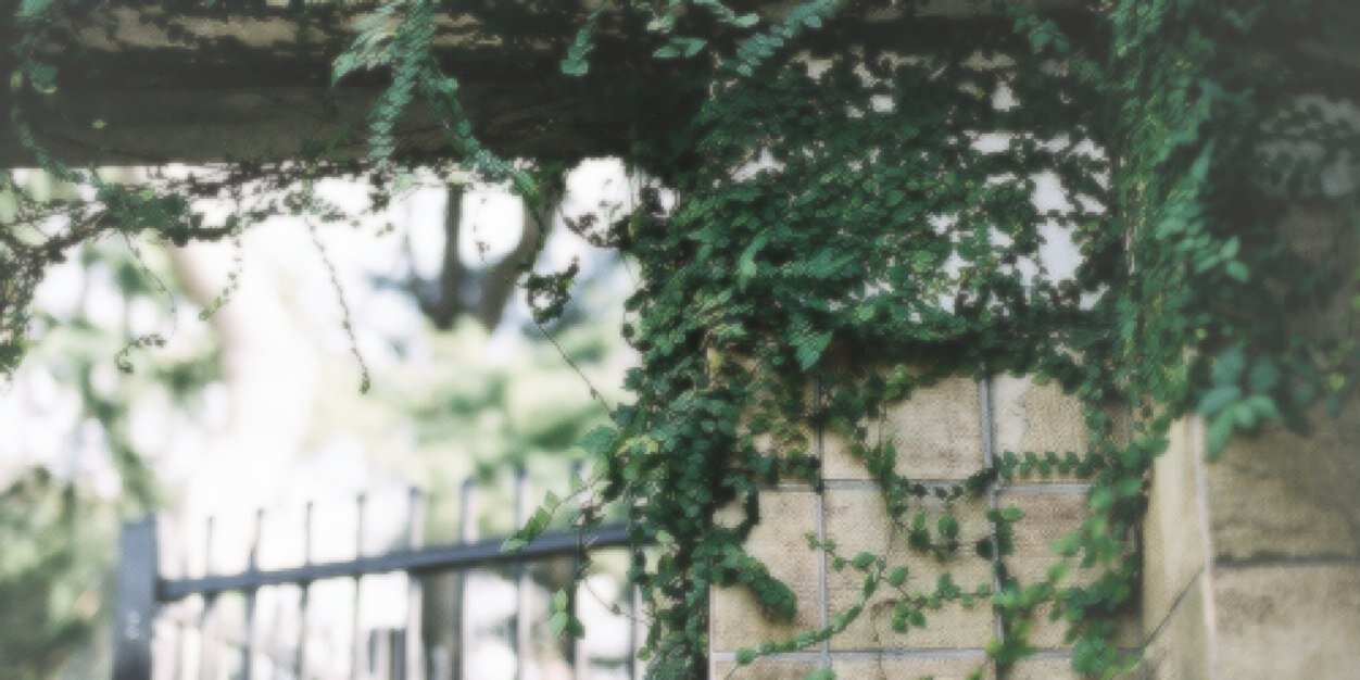 sweaterboyli's profile banner image