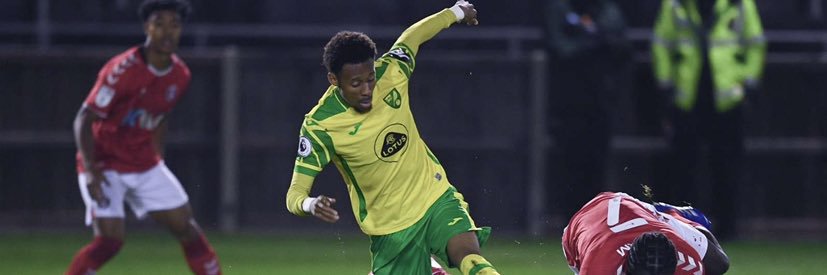 Shae Hutchinson banner