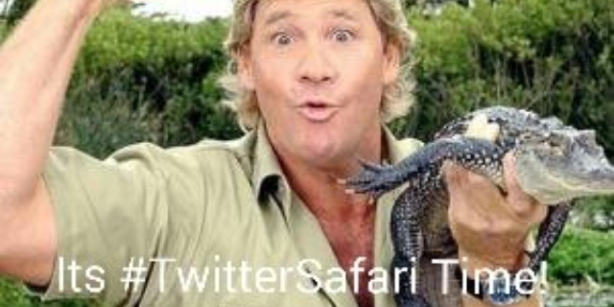 _twitsafari's profile banner image
