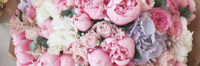 GeorgiaMNally's profile banner image