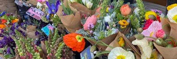 kassi_foote Profile Banner