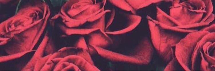 _lLorD_'s profile banner image