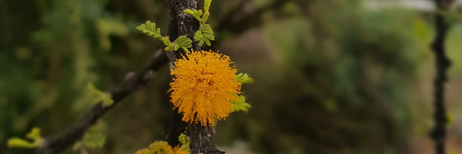 jpgarciare's profile banner image