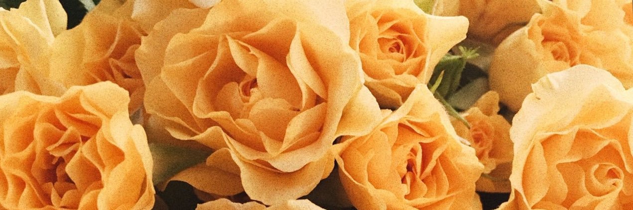 idalisoh_'s profile banner image