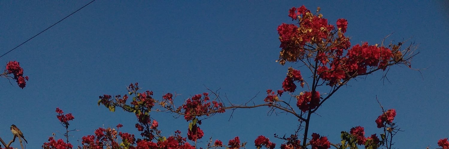 To_rrente's profile banner image